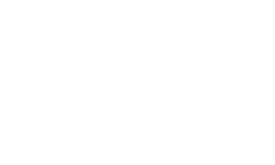 Need For Spin logo